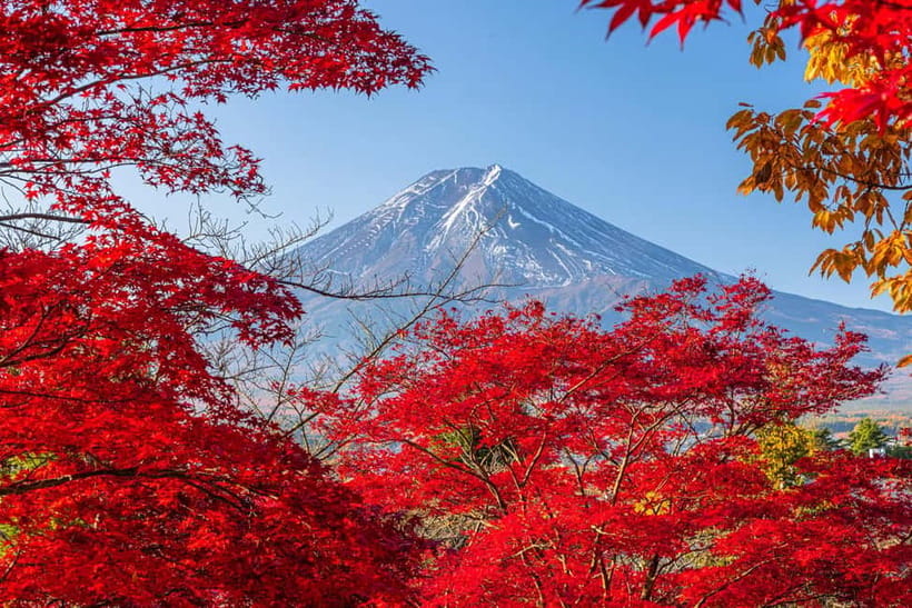Tokyo: Mt. Fuji, Arakurayama Sengen Park, Oshino Hakkai Tour - Arakurayama Sengen Park: the pagoda viewpoint that changes all year