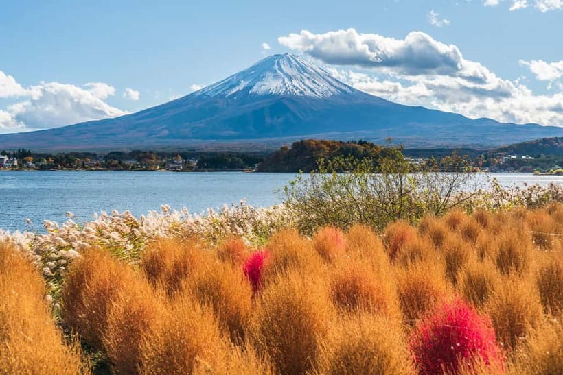 Tokyo: Mt. Fuji, Arakurayama Sengen Park, Oshino Hakkai Tour - Oishi Park: Lake Kawaguchi views with strict weekday timing