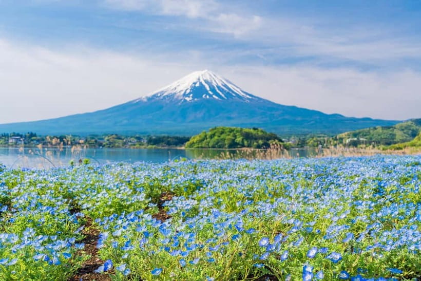 Tokyo: Mt. Fuji, Arakurayama Sengen Park, Oshino Hakkai Tour - Guide support: English, Chinese, and what to expect in the vehicle