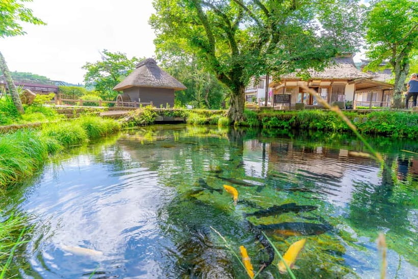 Tokyo: Mt. Fuji, Arakurayama Sengen Park, Oshino Hakkai Tour - Price and value: what $50 actually buys you