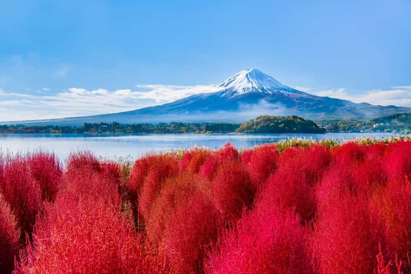 Tokyo: Mt. Fuji, Arakurayama Sengen Park, Oshino Hakkai Tour - A quick culture reset at Hikawa Clock Shop