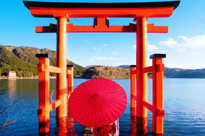 Tokyo: Mt. Fuji Cruise & Hakone Ropeway Day Trip by Bus - Fuji Shibasari Peace Park for a clearer Mt. Fuji view