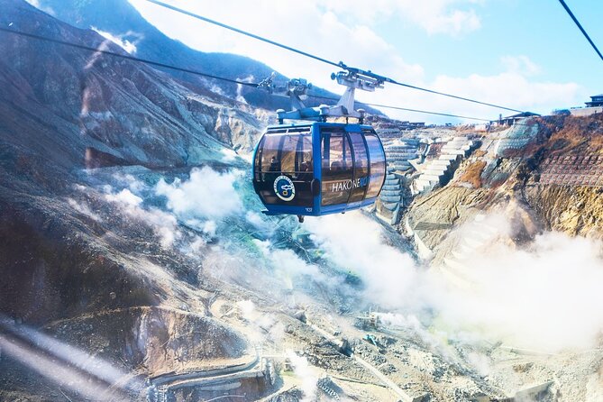 Tokyo: Mt. Fuji Cruise & Hakone Ropeway Day Trip by Bus - Price and value: what $92.50 really buys you