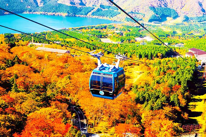 Tokyo: Mt. Fuji Cruise & Hakone Ropeway Day Trip by Bus - Lake Ashi cruise plus lunch near Moto-Hakone Port
