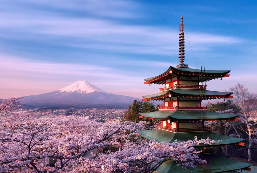 Tokyo:Mt Fuji & Hakone Day Tour with English Speaking Driver - Key things to know before you go