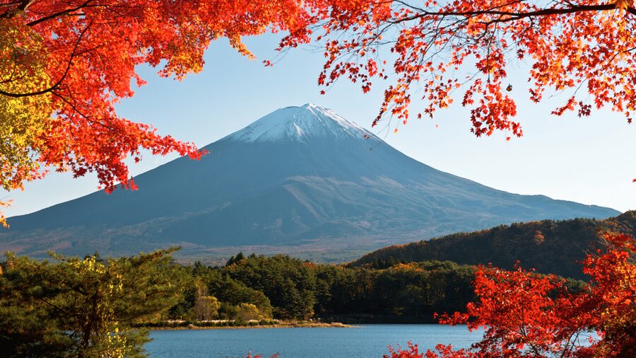 Tokyo: Mt. Fuji Hidden Gems and Aokigahara Forest Tour - Key highlights and what they mean for your day