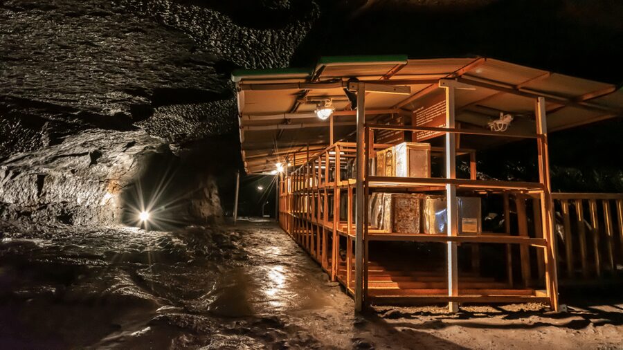 Tokyo: Mt. Fuji Hidden Gems and Aokigahara Forest Tour - Price and value: is $577 worth a private Fuji day?