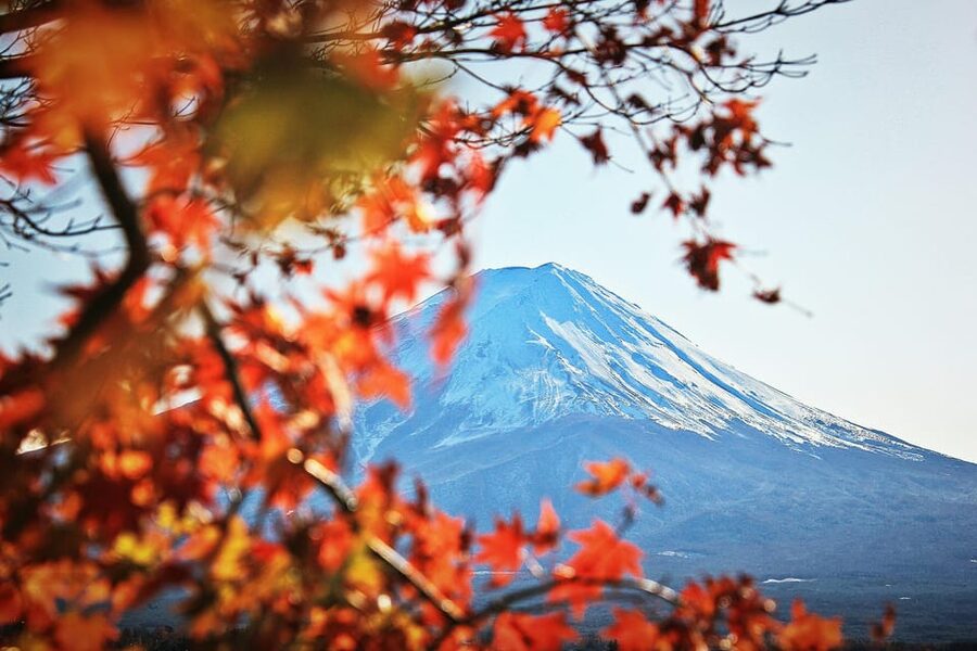 Tokyo: Mt. Fuji Hidden Gems and Aokigahara Forest Tour - Oishi Park: Mt. Fuji framed by seasonal flowers