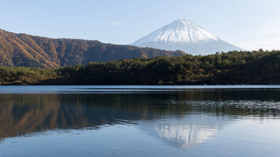 Tokyo: Mt. Fuji Hidden Gems and Aokigahara Forest Tour - Narusawa Ice Cave: volcanic eruptions, eternal cold, and real texture