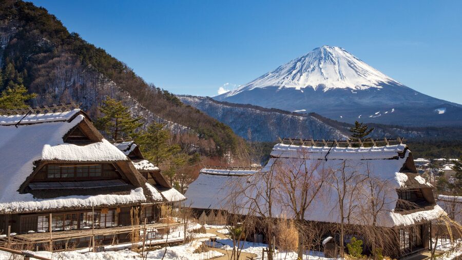 Tokyo: Mt. Fuji Hidden Gems and Aokigahara Forest Tour - Fugaku Wind Cave: silkworm storage and a geography lesson in air