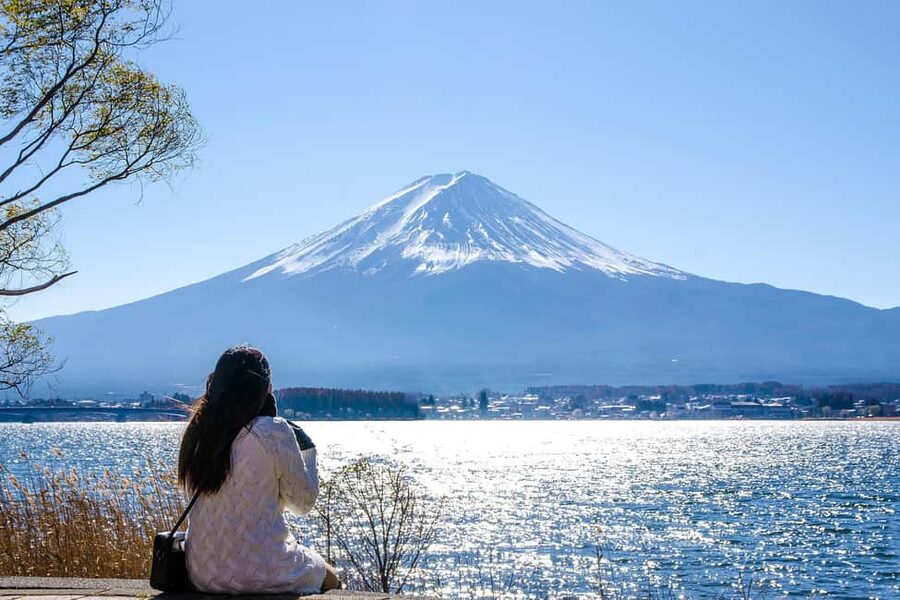 Tokyo: Mt. Fuji, Kamakura, Big Buddha, & Lake Ashi Day Trip - Price and what you really get for about $49