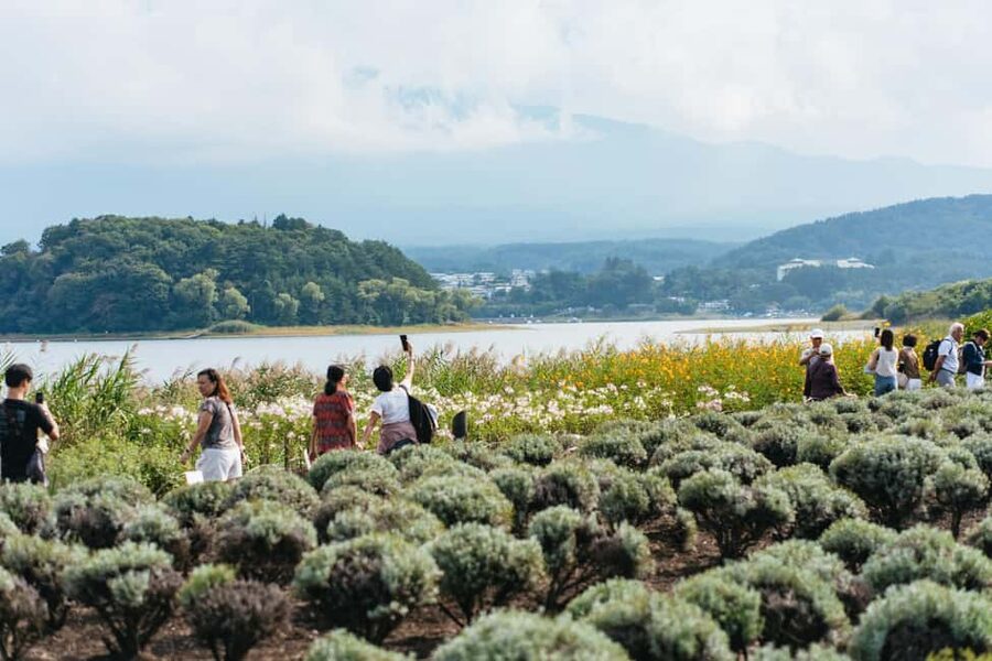 Tokyo: Mt. Fuji, Kamakura, Big Buddha, & Lake Ashi Day Trip - Timing on a day trip: how the bus schedule shapes your experience