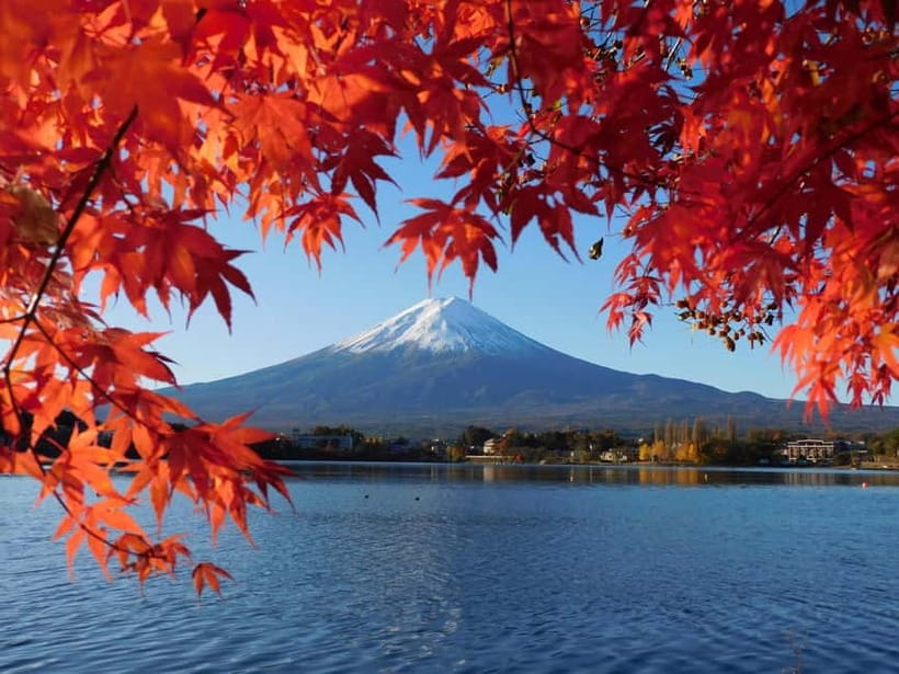 Tokyo:Mt.Fuji,Kawaguchiko Oishi Park,Arakurayama Sengen Park - Why This Mt. Fuji Day Trip Feels Like a Win, Even When Clouds Roll In