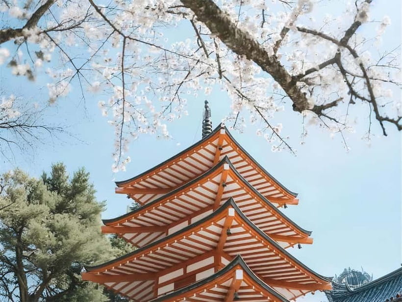 Tokyo: Mt. Fuji & Lake Kawaguchi Instagram Full Day Trip - Lake Kawagiko Oishi Park and the Maple Corridor swap