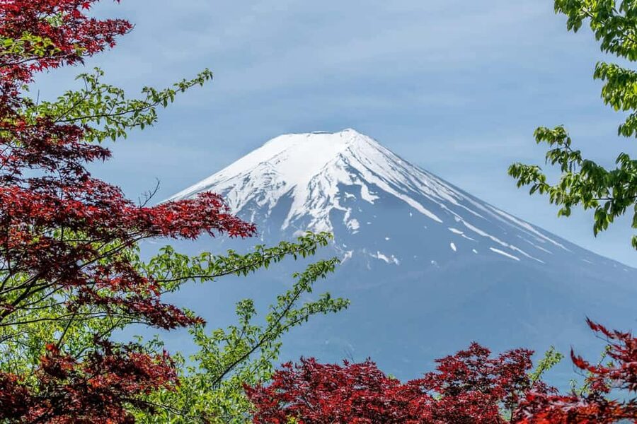 Tokyo: Mt. Fuji & Lake Kawaguchi Private Tour with Transfer - Kitaguchi-hongu Fuji Sengen Shrine, spirituality with real atmosphere