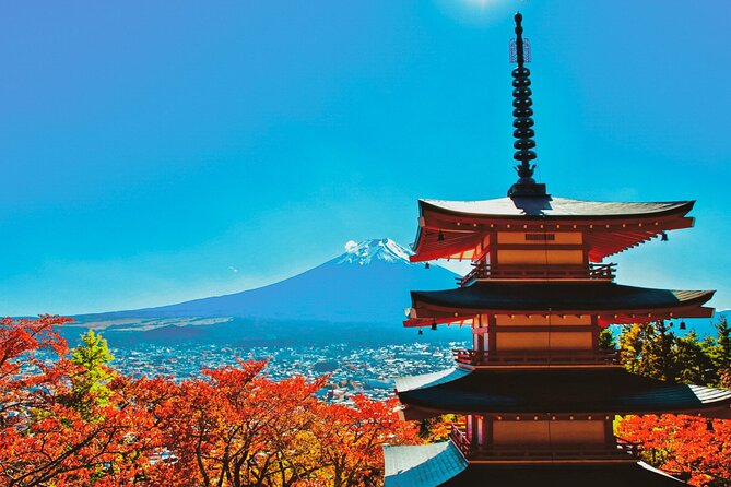 Tokyo: Mt.Fuji & Lake Kawaguchiko 1-Day Bus Tour w/Optional Lunch - Key things to notice before you go