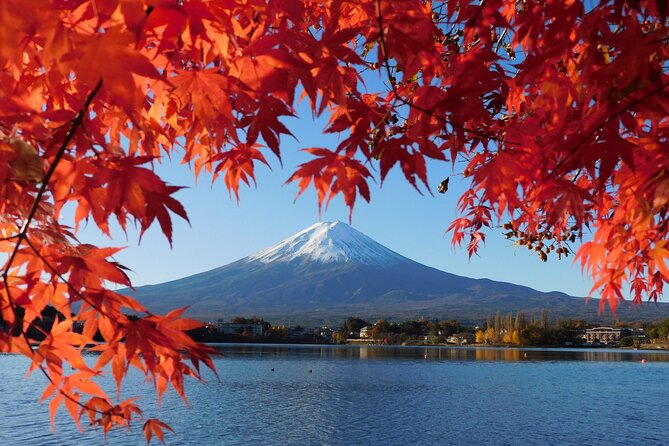 Tokyo: Mt.Fuji & Lake Kawaguchiko 1-Day Bus Tour w/Optional Lunch - The value of a guided Mt. Fuji day trip from Shinjuku