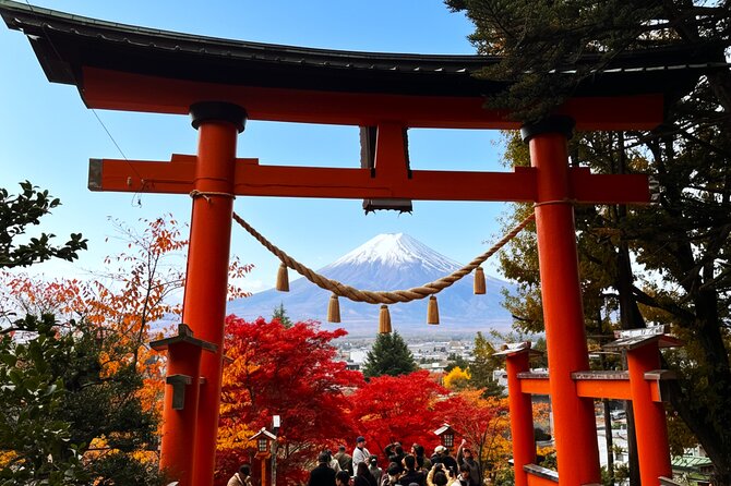 Tokyo: Mt.Fuji & Lake Kawaguchiko 1-Day Bus Tour w/Optional Lunch - A second viewpoint break: Niikurayama Asama Park observation deck