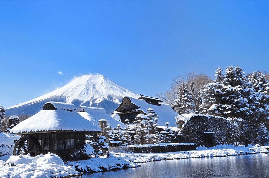 Tokyo: Mt Fuji Lake Kawaguchiko Tour & Arakuyama Sengen Park - Key things to know before you go