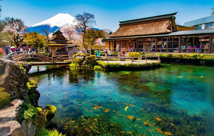 Tokyo: Mt Fuji Lake Kawaguchiko Tour & Arakuyama Sengen Park - A quirky Fuji angle at Lawson Kawaguchiko Station