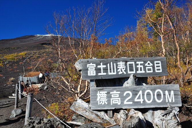 Tokyo: Mt. Fuji, Oshino Hakkai and Gotemba Outlets 1-Day Bus Tour - Key Things I’d Pay Attention To
