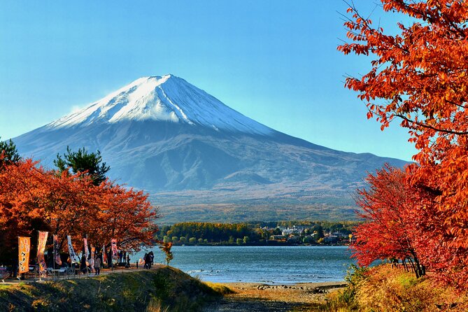 Tokyo: Mt. Fuji, Oshino Hakkai and Gotemba Outlets 1-Day Bus Tour - Mt. Fuji 5th Station: The Highest Bus Stop and a Cold-Weather Reality Check
