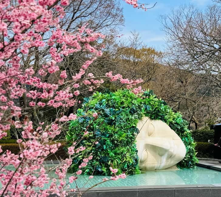 Tokyo: Mt. Fuji, Owakudani, Hakone Shrine, & Open-Air Museum - Key highlights to know before you go