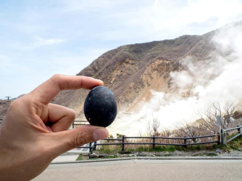 Tokyo: Mt. Fuji, Owakudani, Hakone Shrine, & Open-Air Museum - Owakudani Volcano Valley: Steam, Sulfur, and Big Science Energy