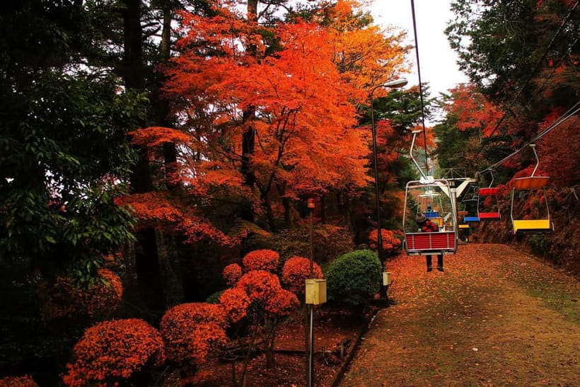 Tokyo: Mt Takao Tour with Ramen and Tattoo-Okay Hot Spring - Takao 599 Museum: a fast start that makes the mountain easier to read