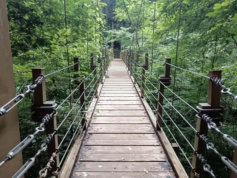 Tokyo: Mt Takao Tour with Ramen and Tattoo-Okay Hot Spring - The hike and viewpoint timing: how Mt Fuji becomes a real possibility