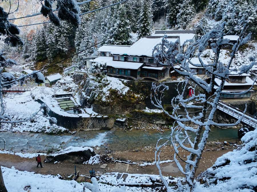 Tokyo/Nagano: private Tour with Snow Monkey Park & Temples - Key highlights worth marking on your map
