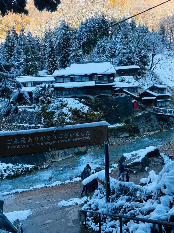 Tokyo/Nagano: private Tour with Snow Monkey Park & Temples - Tokyo to Nagano by private Jeep or SUV, and why it matters