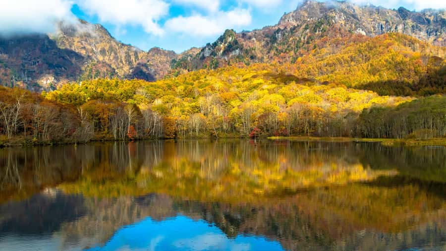 Tokyo/Nagano: private Tour with Snow Monkey Park & Temples - Yamanochi and scenic Nagano views: the breathing space between stops
