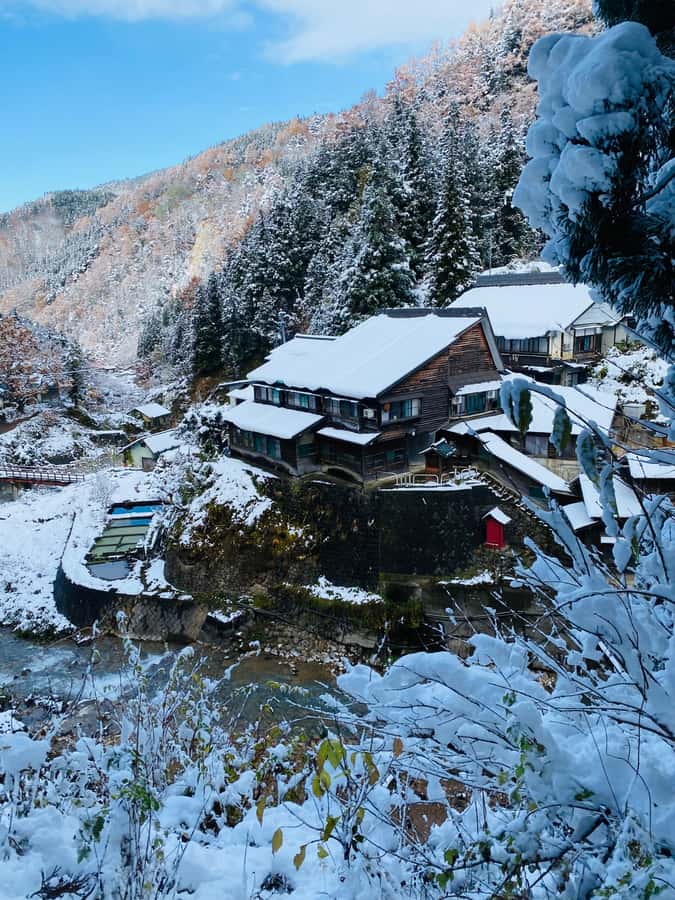 Tokyo/Nagano: private Tour with Snow Monkey Park & Temples - Jigokudani Snow Monkey Park: the 25 minute walk to the hot springs show