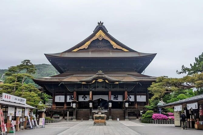 Tokyo Nagano Snow Monkey Park and Zenkoji Temple English driver - A full Nagano day that stays practical