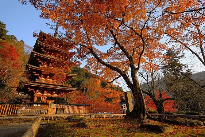 Tokyo Nagano Snow Monkey Park and Zenkoji Temple English driver - The one thing to pay attention to: driving safety