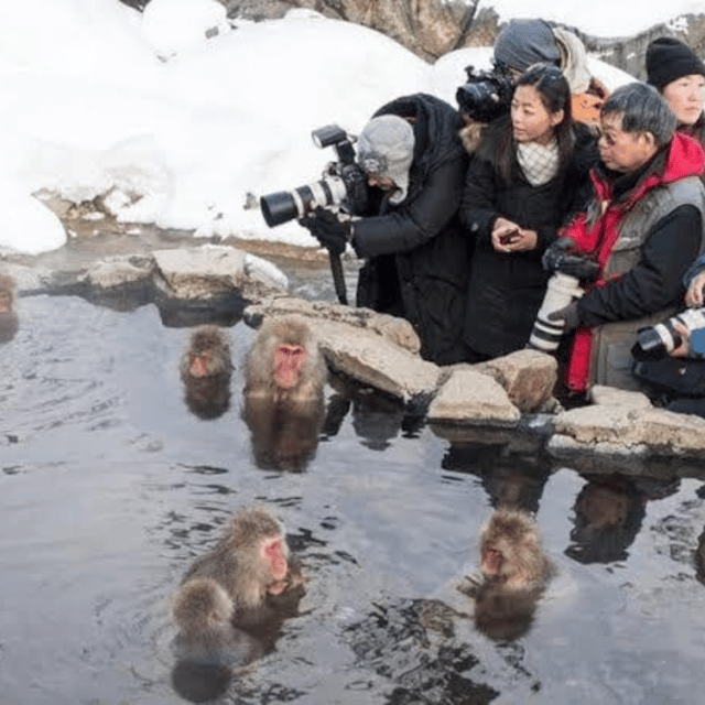 Tokyo: Nagano Snow Monkeys and Zenkoji Tour with Temples - Key things to know before you go