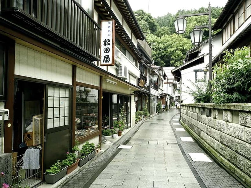 Tokyo: Nagano Snow Monkeys and Zenkoji Tour with Temples - Who this Nagano tour fits best