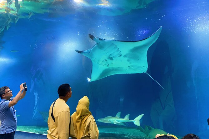 Tokyo Night E-Bike Tour with Tokyo Tower and Dolphin Show - Azabujuban snack and drink break: a local detour