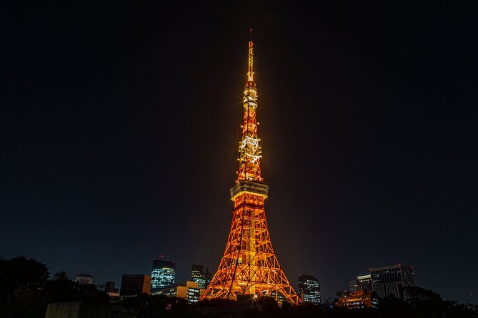 Tokyo Night E-Bike Tour with Tokyo Tower and Dolphin Show - The electric bike ride: what to expect on the road