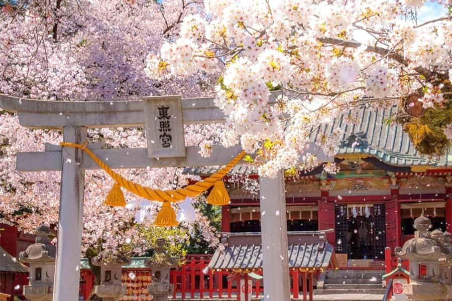 Tokyo: Nikko Day Tour Shrines, Lake Chūzenji & Kegon Falls - Quick take on what makes this Nikko tour work