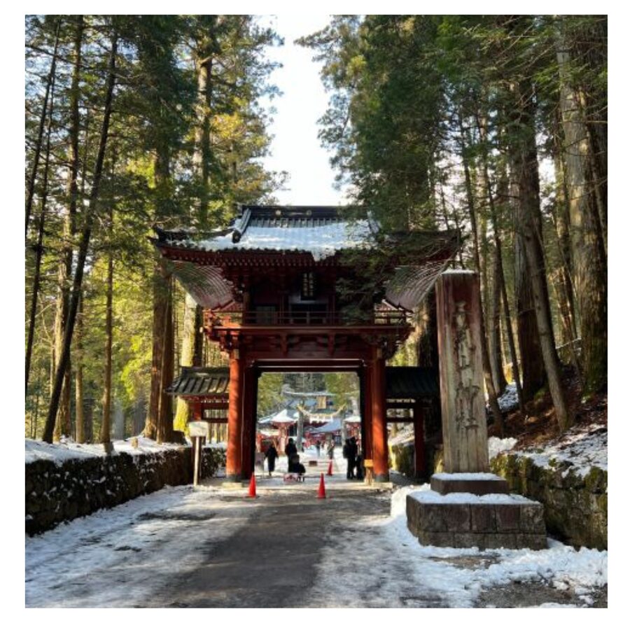Tokyo: Nikko Day Tour Shrines, Lake Chūzenji & Kegon Falls - Edo Wonderland: samurai and ninja shows in an Edo-period street setting