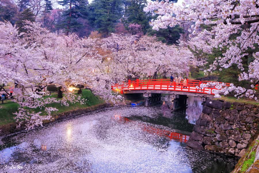 Tokyo: Nikko Day Tour Shrines, Lake Chūzenji & Kegon Falls - Private car, hotel pickup, and the real logistics of getting there
