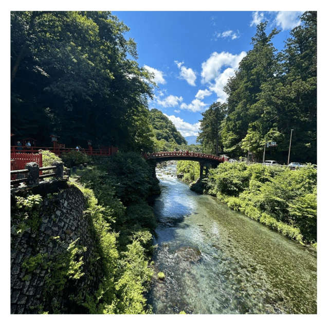 Tokyo: Nikko Kegon Falls Lake Chuzenji Toshogu Temple & More - Price and value for a group of up to 6