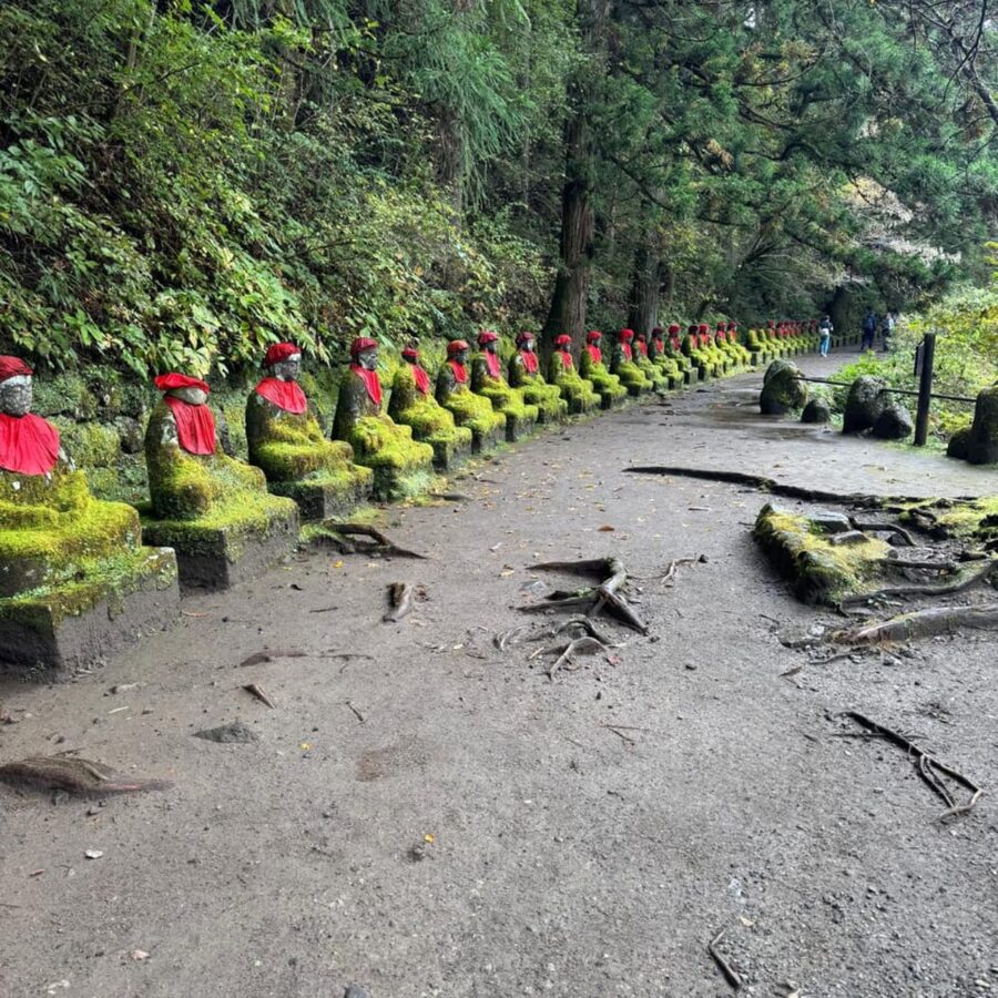 Tokyo → Nikko:Private Customizable Day Trip (English Driver) - Timing that actually makes sense: about one hour per place