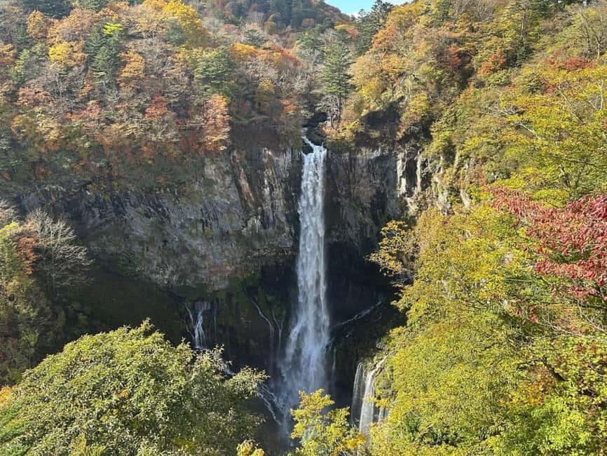 Tokyo → Nikko:Private Customizable Day Trip (English Driver) - Nikkō National Park: nature time with a built-in schedule