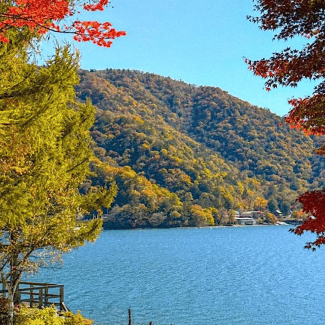 Tokyo → Nikko:Private Customizable Day Trip (English Driver) - Nikkō Toshogu: Edo-era detail and the main cultural payoff