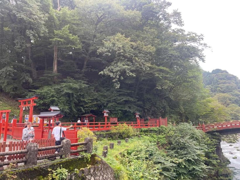 Tokyo: Nikko Private Customize Tour English Driver & Guide - Key Highlights You’ll Notice Right Away