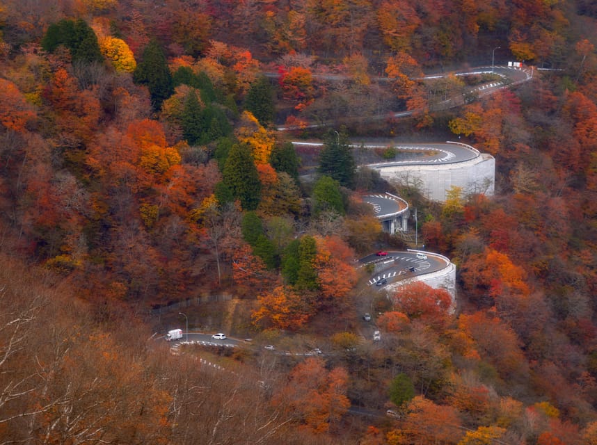 Tokyo: Nikko Private Day Tour With Guide - Key highlights that make this tour worth your time