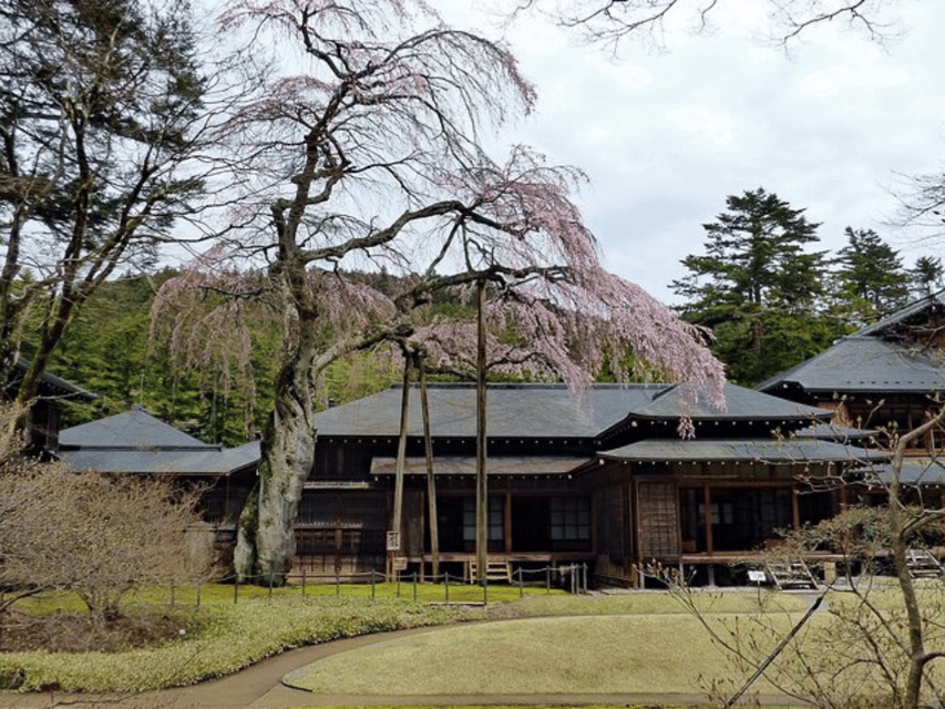 Tokyo: Nikko World Heritage Private Day Trip Hotel Pick-up - Practical Tips: What to Bring and How to Keep the Day Smooth